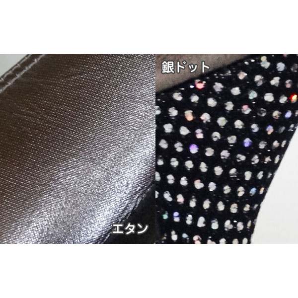 Roseris《レオノーラ》7cmヒール　社交ダンスシューズ 【エタン】